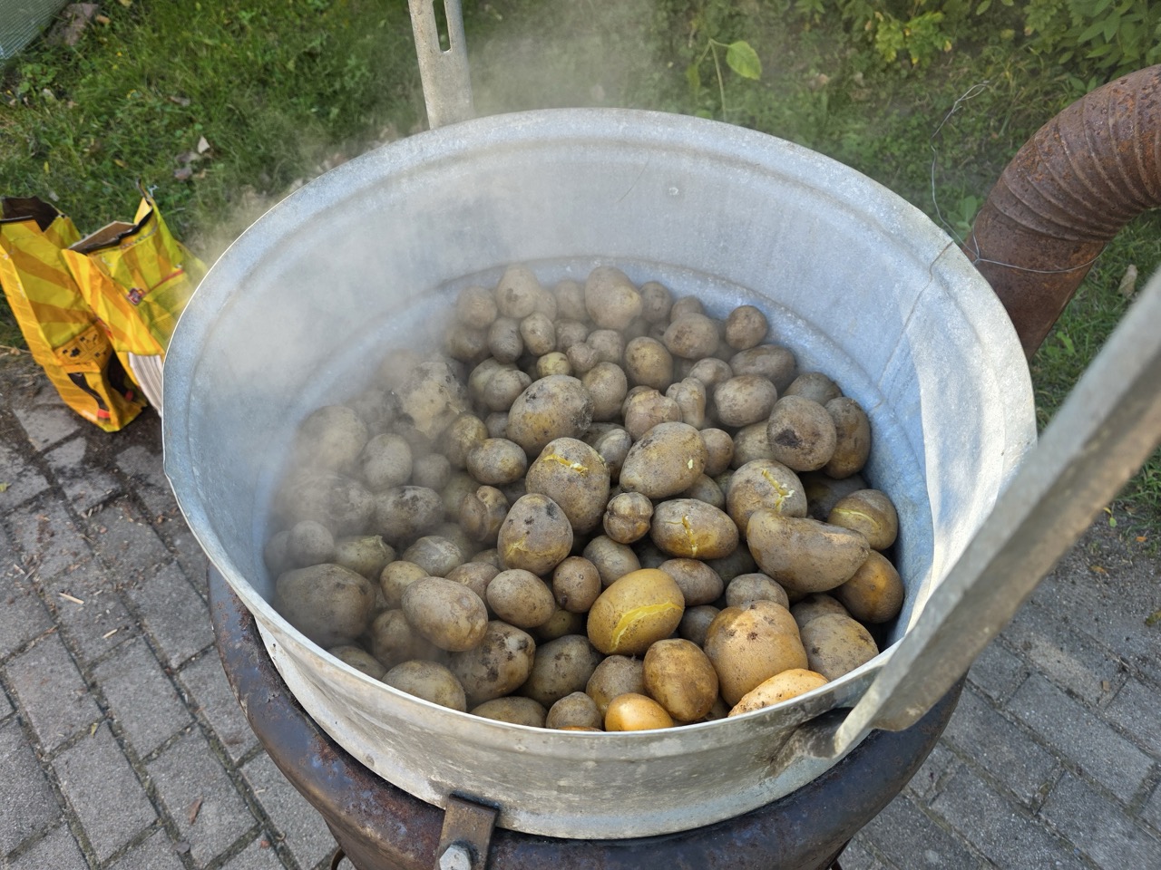 ziemniak_2025_dzien_2_biesiada_26 Large